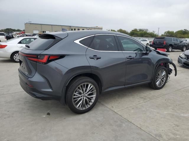 2025 Lexus NX 350 Premium