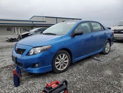 Salvage cars for sale at Earlington, KY auction: 2010 Toyota Corolla Base