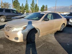 Vehiculos salvage en venta de Copart Rancho Cucamonga, CA: 2010 Toyota Camry Base