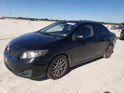 Vehiculos salvage en venta de Copart New Braunfels, TX: 2010 Toyota Corolla Base