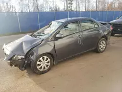 Salvage cars for sale from Copart Moncton, NB: 2009 Toyota Corolla Base