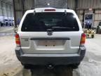 2003 Ford Escape XLT