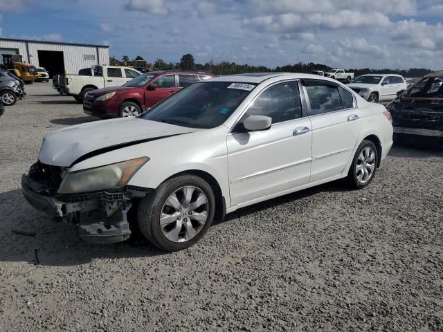 2010 Honda Accord EXL