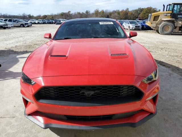 2019 Ford Mustang