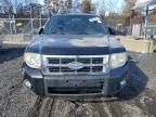 2008 Ford Escape Limited