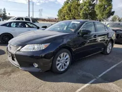 Salvage cars for sale at Rancho Cucamonga, CA auction: 2014 Lexus ES 300H