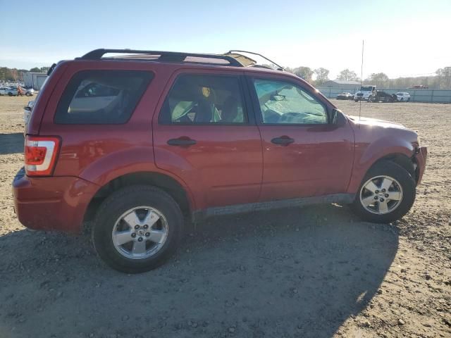 2012 Ford Escape XLT