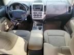 2008 Ford Edge SEL