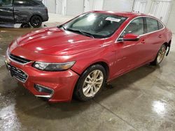 Salvage cars for sale at Avon, MN auction: 2016 Chevrolet Malibu LT