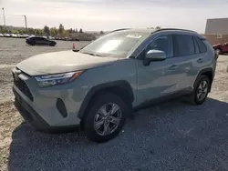 Lots with Bids for sale at auction: 2023 Toyota Rav4 XLE