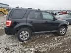 2010 Ford Escape Limited