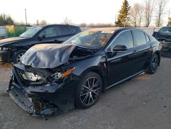 Toyota Camry xle Vehiculos salvage en venta: 2021 Toyota Camry XLE