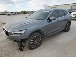 Volvo xc60 salvage cars for sale: 2019 Volvo XC60 T8