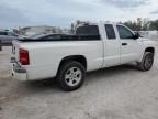 2009 Dodge Dakota SXT