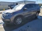 2019 Honda Pilot EXL