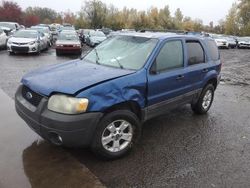 Ford Vehiculos salvage en venta: 2007 Ford Escape XLT