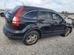 2010 Honda CR-V EXL