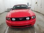 2005 Ford Mustang GT