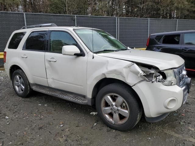 2010 Ford Escape Limited