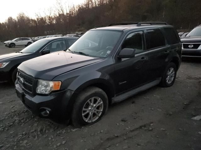 2009 Ford Escape Hybrid