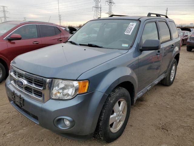 2010 Ford Escape XLT