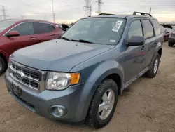 Ford Vehiculos salvage en venta: 2010 Ford Escape XLT