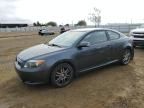 2006 Scion TC