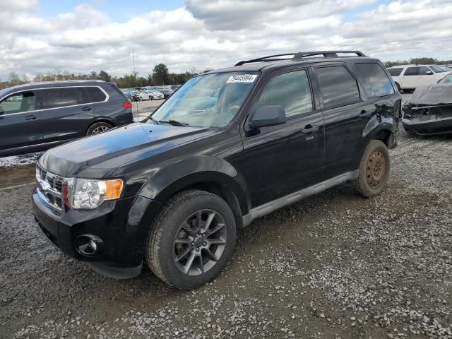 2009 Ford Escape XLT