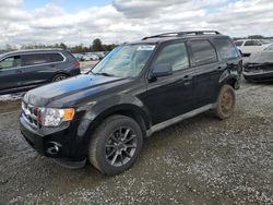 Salvage cars for sale at Lumberton, NC auction: 2009 Ford Escape XLT