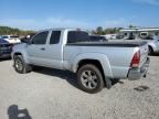 2005 Toyota Tacoma Prerunner Access Cab