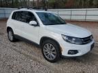 2015 Volkswagen Tiguan S