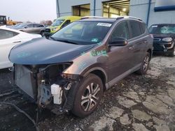 Salvage cars for sale at Windsor, NJ auction: 2016 Toyota Rav4 LE