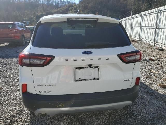 2023 Ford Escape Active