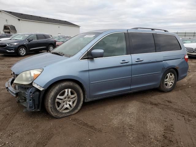 2005 Honda Odyssey EXL