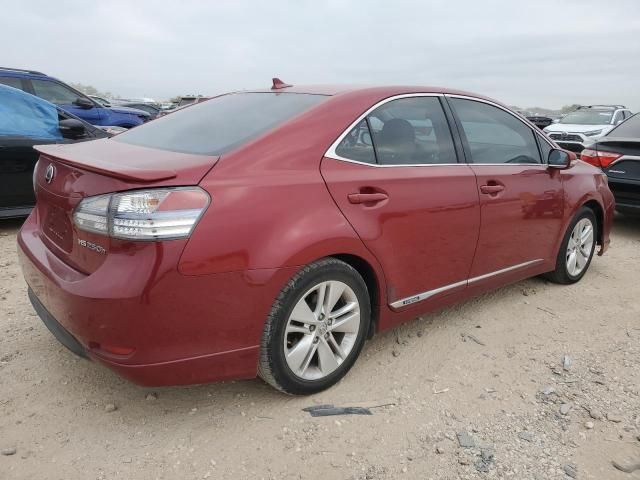 2011 Lexus HS 250H