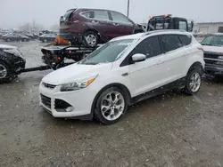 Ford salvage cars for sale: 2014 Ford Escape Titanium