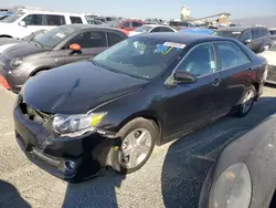 Salvage cars for sale at San Diego, CA auction: 2013 Toyota Camry L