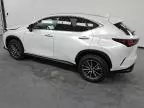 2025 Lexus NX 350H Base