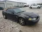 2004 Ford Mustang