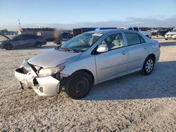 Salvage cars for sale at Arcadia, FL auction: 2009 Toyota Corolla Base