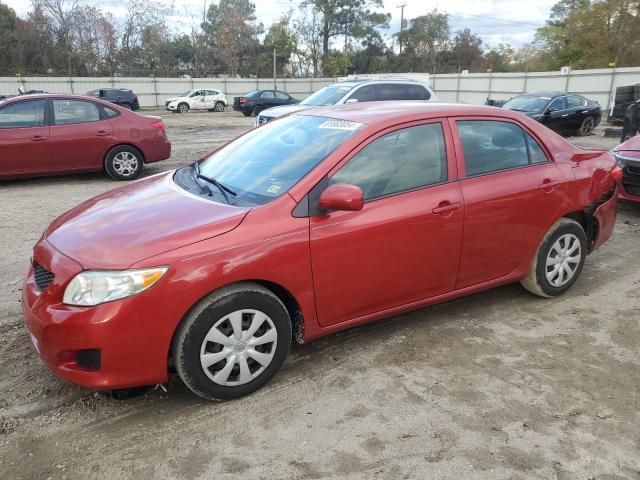 2010 Toyota Corolla Base