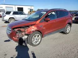 Salvage cars for sale at Lumberton, NC auction: 2019 Ford Escape SEL