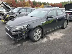 Salvage cars for sale at Exeter, RI auction: 2015 KIA Optima Hybrid