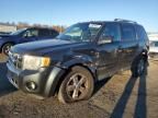 2008 Ford Escape Limited