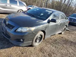 Toyota Vehiculos salvage en venta: 2010 Toyota Corolla Base