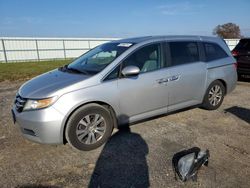 Carros salvage sin ofertas aún a la venta en subasta: 2014 Honda Odyssey EXL