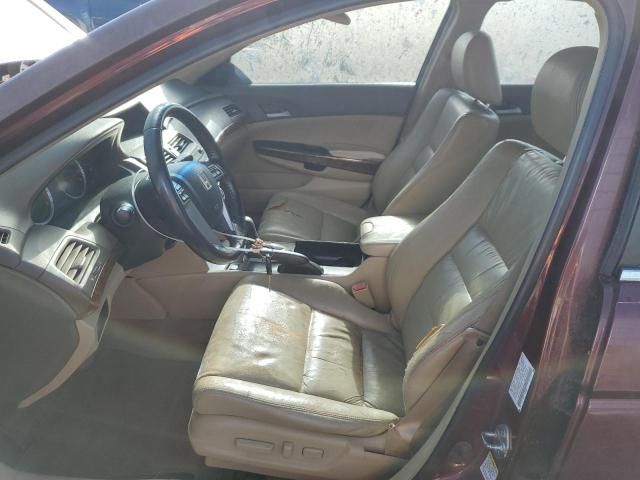 2008 Honda Accord EXL