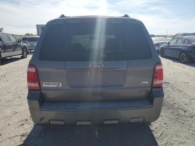 2010 Ford Escape XLT