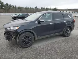 Salvage cars for sale at Windham, ME auction: 2019 KIA Sorento LX