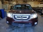 2010 Honda Pilot EXL